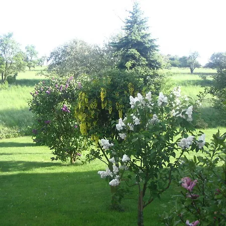 아파트 Am Frankenbach *